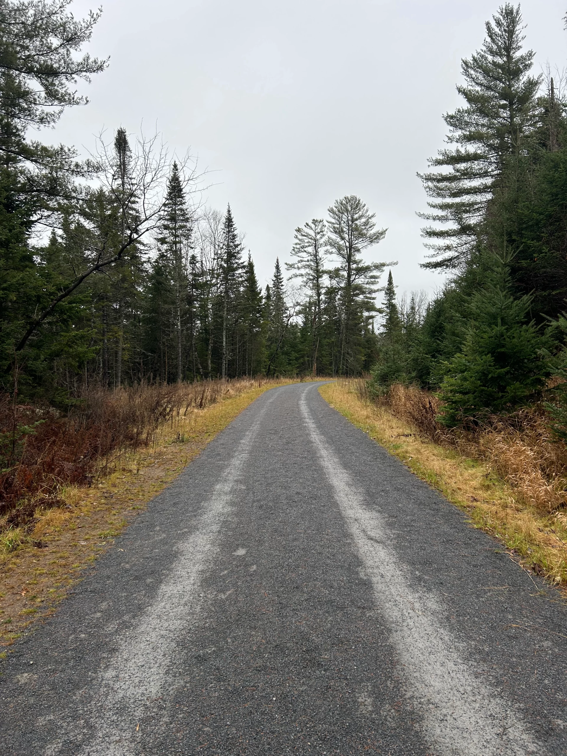 The Adirondack Rail Trail: Lake Placid to Ray Brook